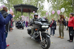 Story Pink Fest