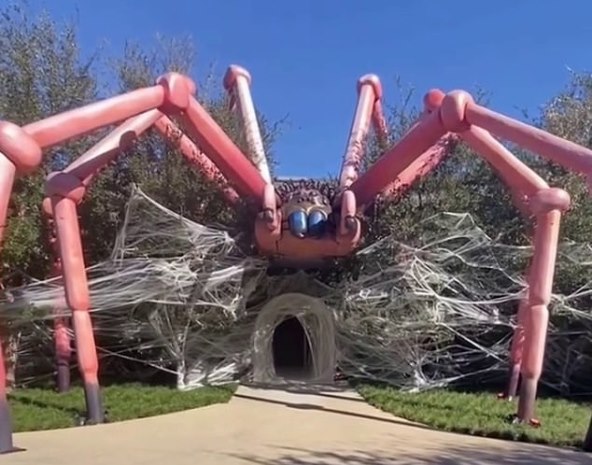 Halloween dekor