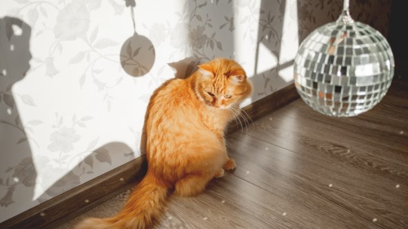 Disco kugla
