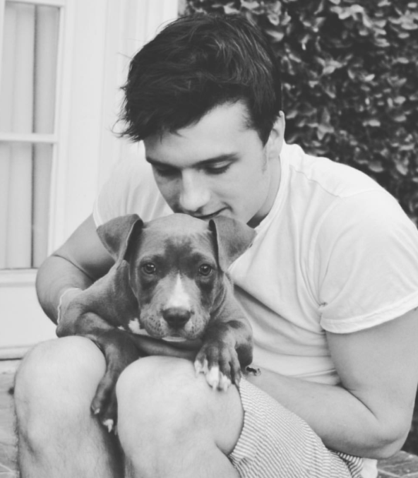 Josh Hutcherson