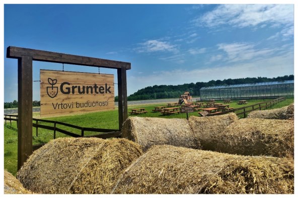 Gruntek