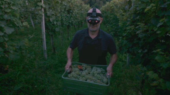 04_night_harvest