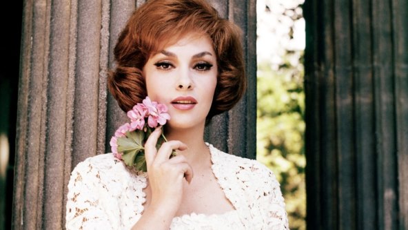 Gina Lollobrigida