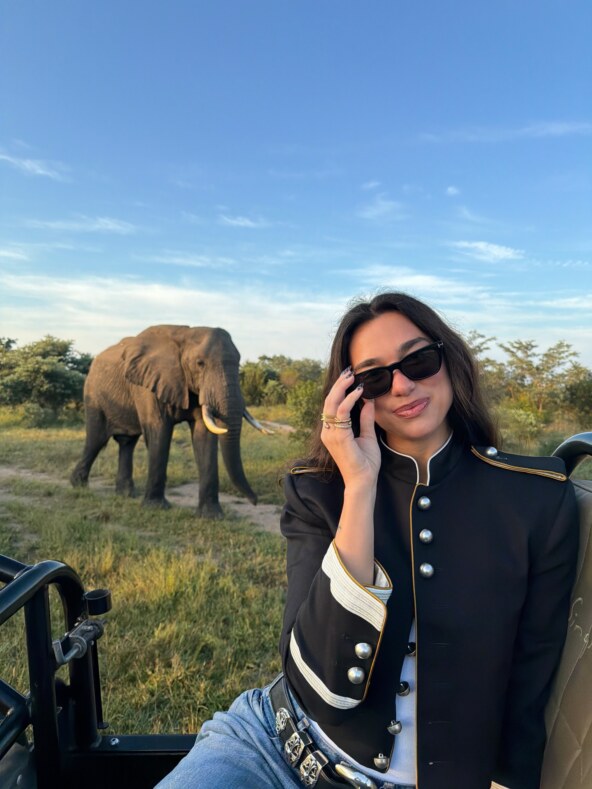Dua Lipa safari 2026