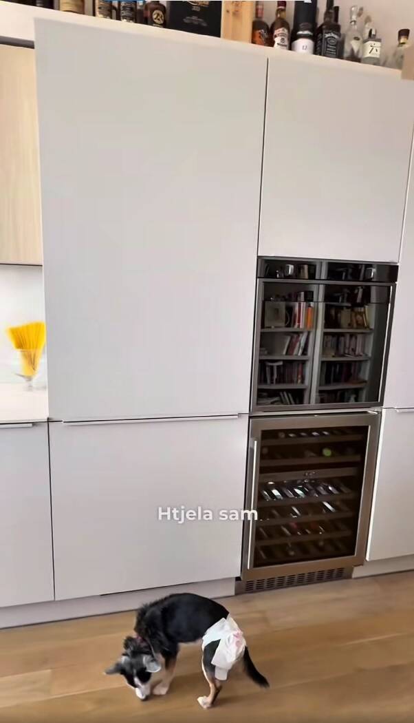 nataša7.jpg