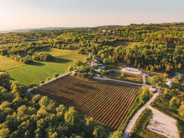 Tenuta Tre Terre.jpg
