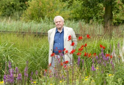 David Attenborough