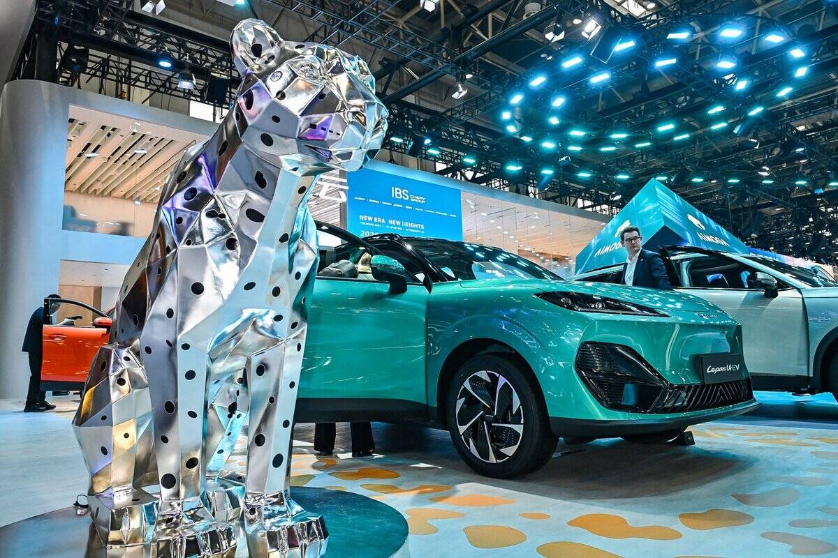 LEPAS i AUTO BENUSSI 3.jpg