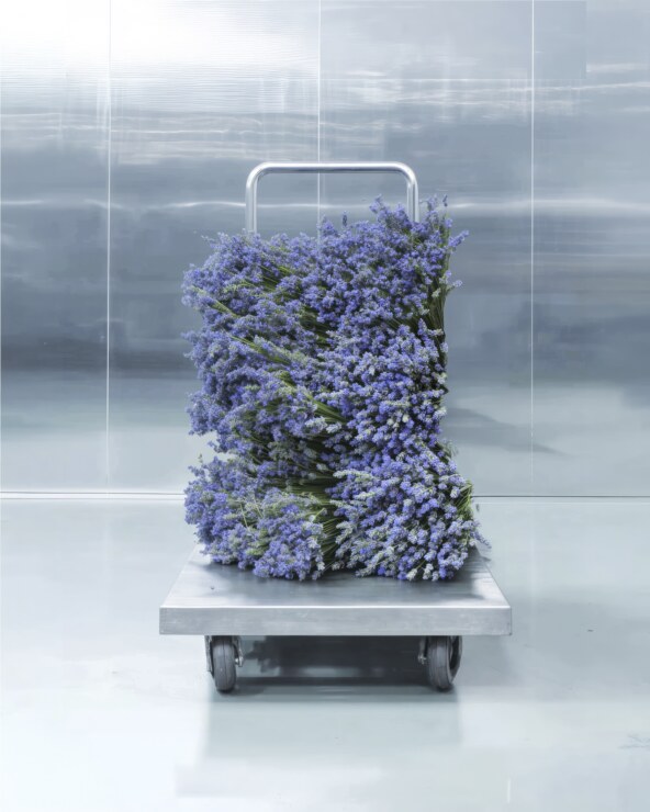 07_METAL LAVENDER_EDP_FACTORY_CAMPAIGN_2026_RGB.jpg
