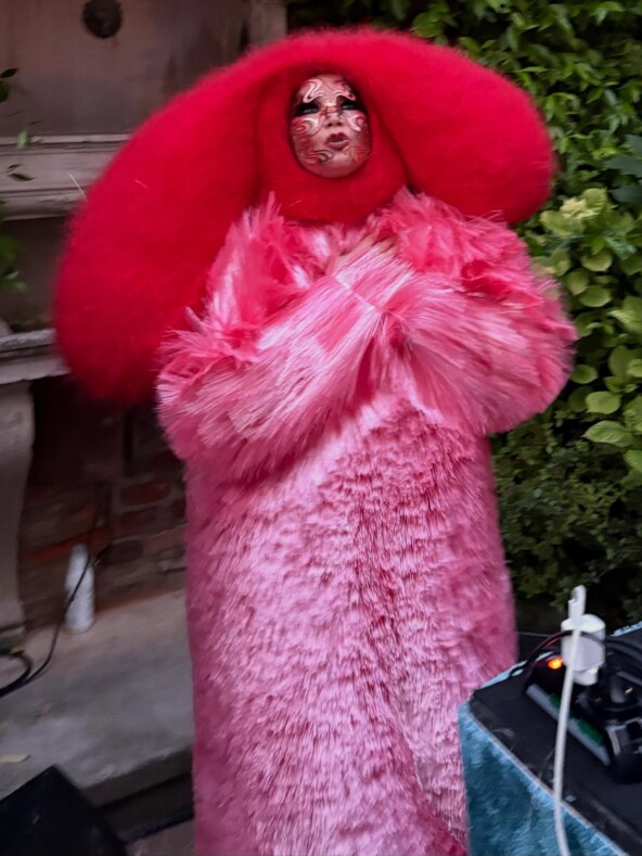 Bjork Venecija Bienale
