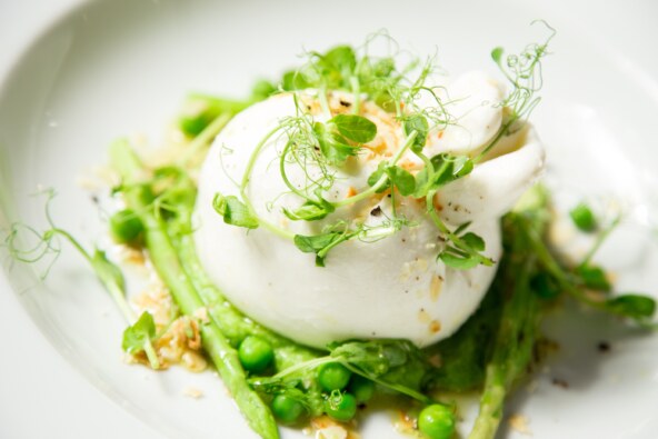 Salata grašak krumpir i burrata