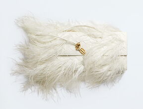 Bottega Veneta Andiamo Clutch