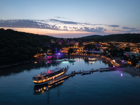 Birds Eye of site dusk.jpg