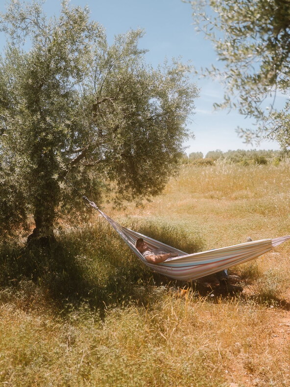 Eumelia Organic Farm Stay Retreat