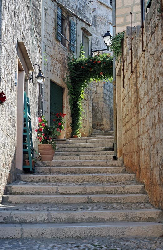 Vis, foto Nikola Zoko (1).jpg