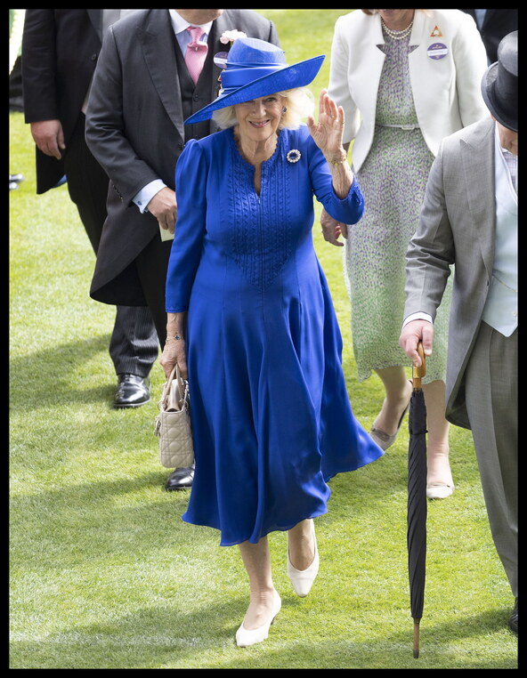 Lady Dior, kraljica camilla