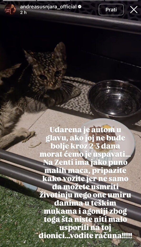 Andrea Šušnjara