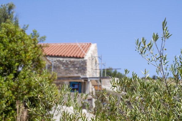 PXL_100726_155084013.jpg