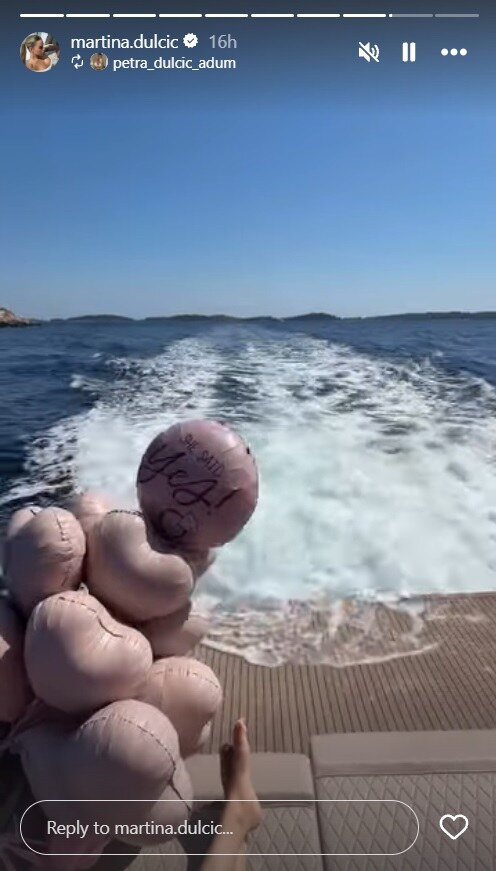 plazibat7.jpg
