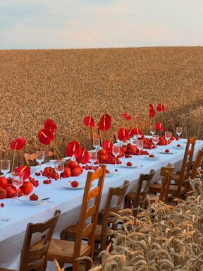 Tomato table trend 2026