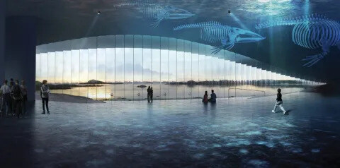 The Whale Norveška