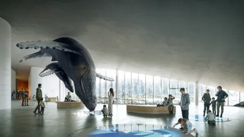 The Whale Norveška