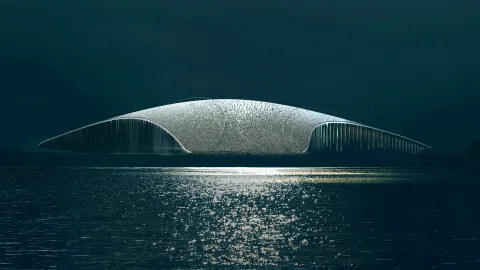 The Whale Norveška