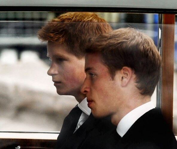 princ harry, princ william