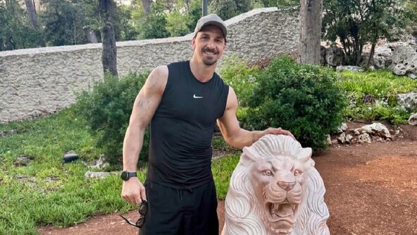 zlatan ibrahimović