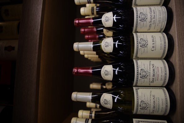 vinoteka atrox