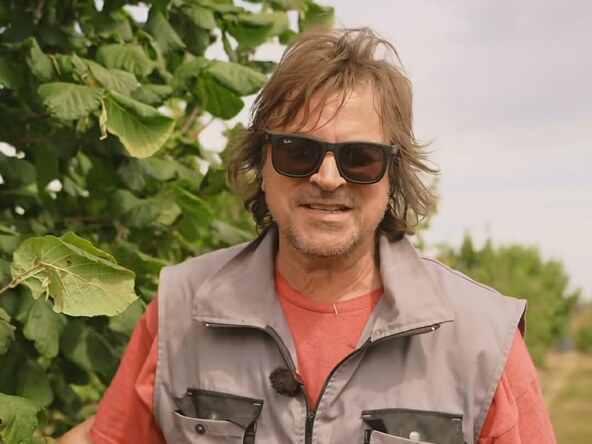Alen Islamović