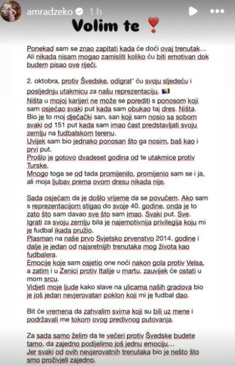 Amra Džeko.png