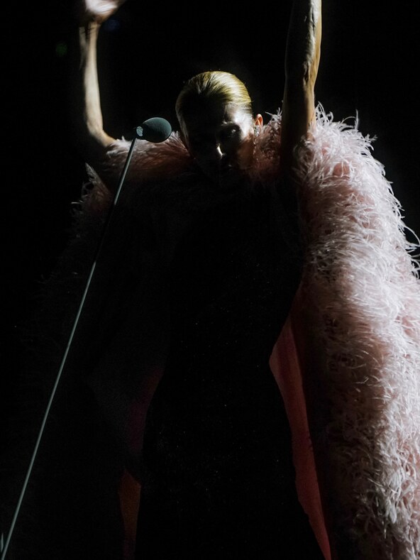 Celine Dion koncert Pariz