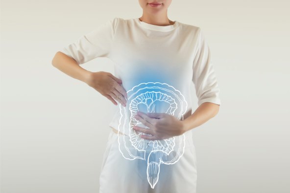 shutterstock_1381662872.jpg
