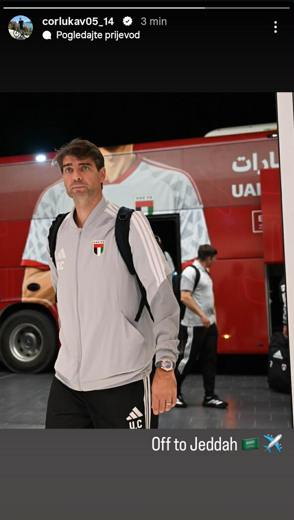 Vedran Ćorluka