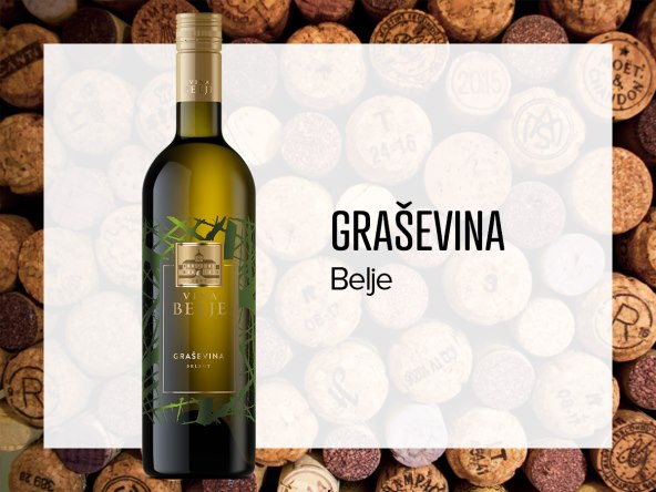 graševina-belje.jpg
