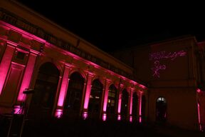 pink life