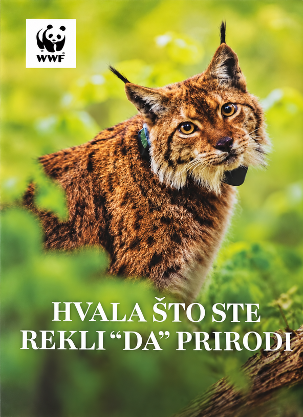 Ris - hvala što ste rekli DA.png