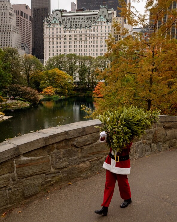 The Plaza Hotel