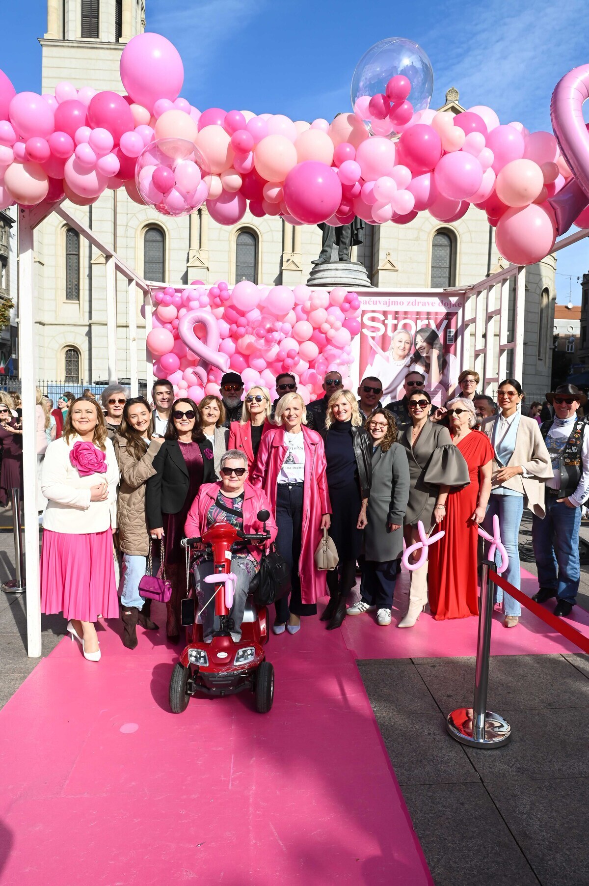 Story Pink 2026 (1).jpg