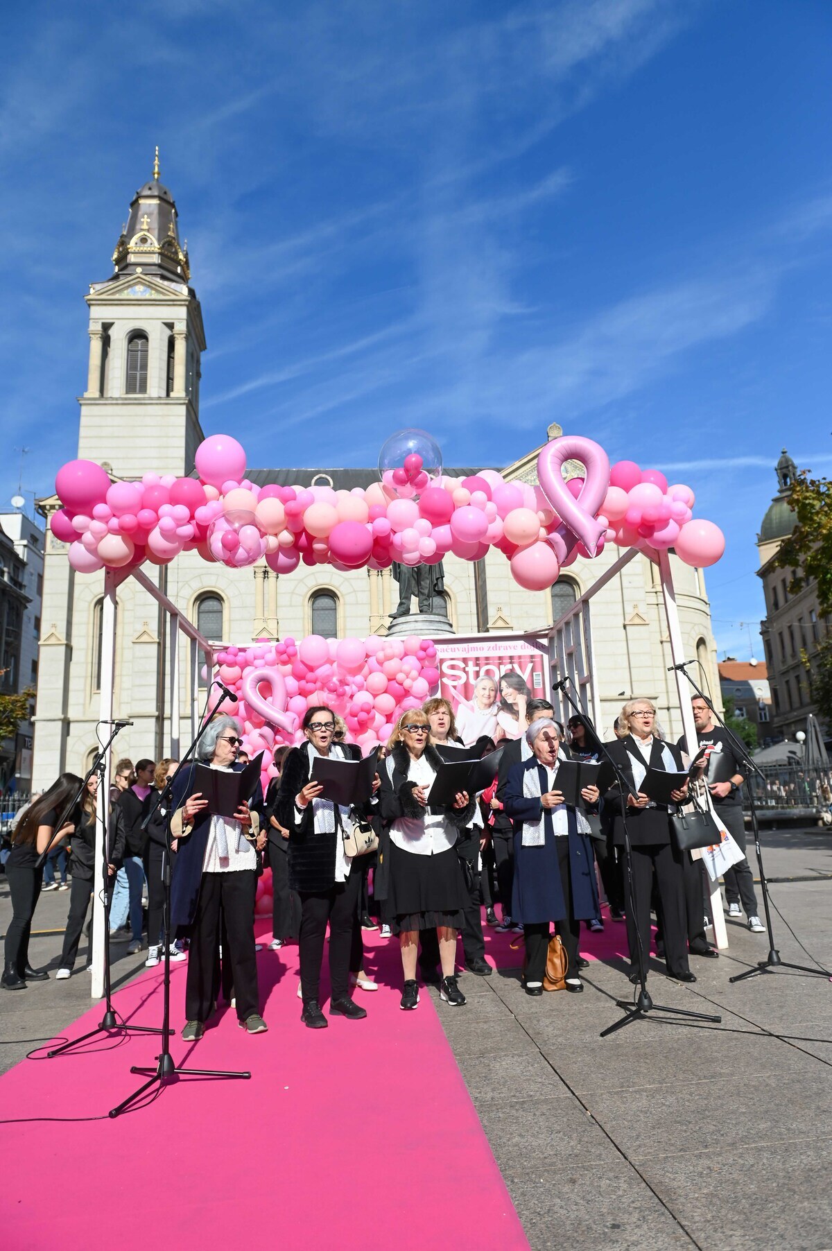Story Pink 2026 (1).jpg