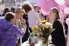 story pink fest, story pink, story pink mimohod