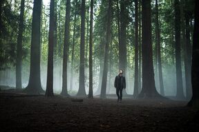 Serija Yaga HBO Max