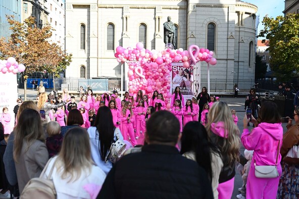 Story Pink Fest