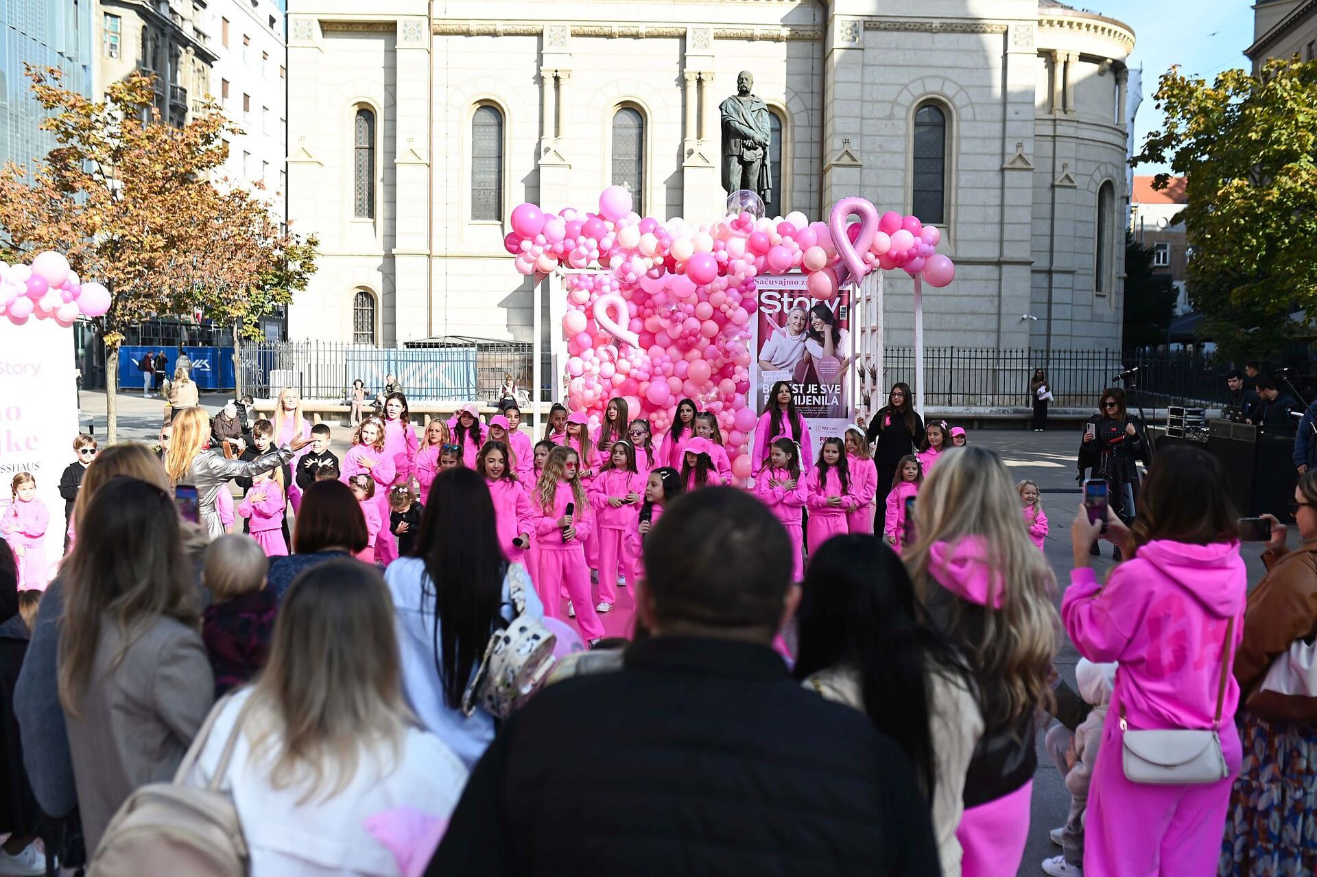 Story Pink Fest