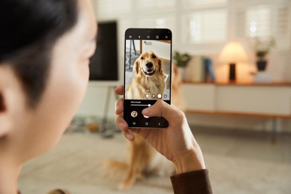 Galaxy S22 Plus_Pet portrait(1).jpg