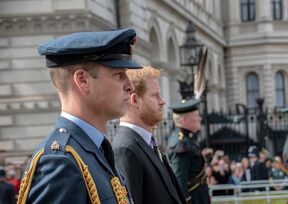 Princ William princ Harry