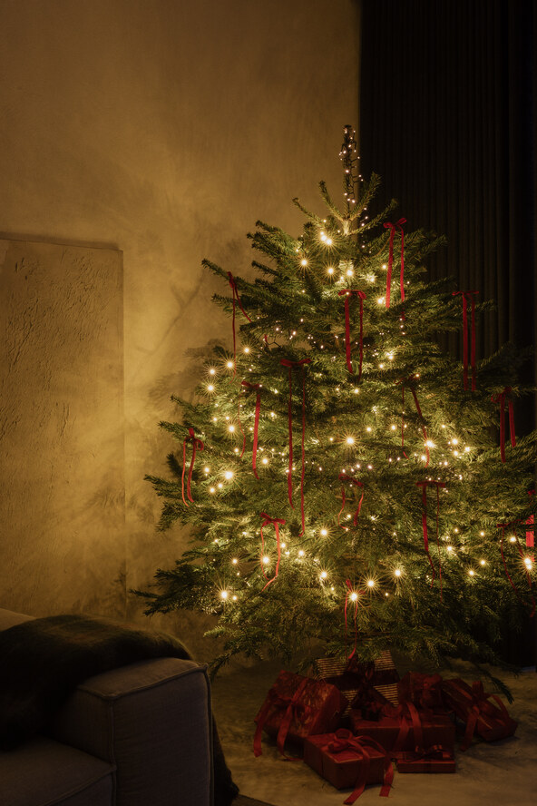 kaboompics_cozy-christmas-tree-with-lights-in-living-room-41362.jpg