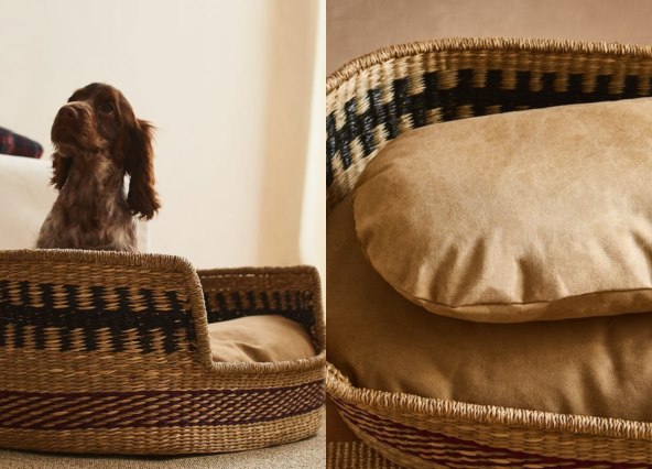Pet Bed