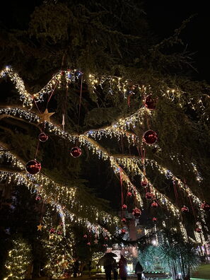 Advent u Opatiji